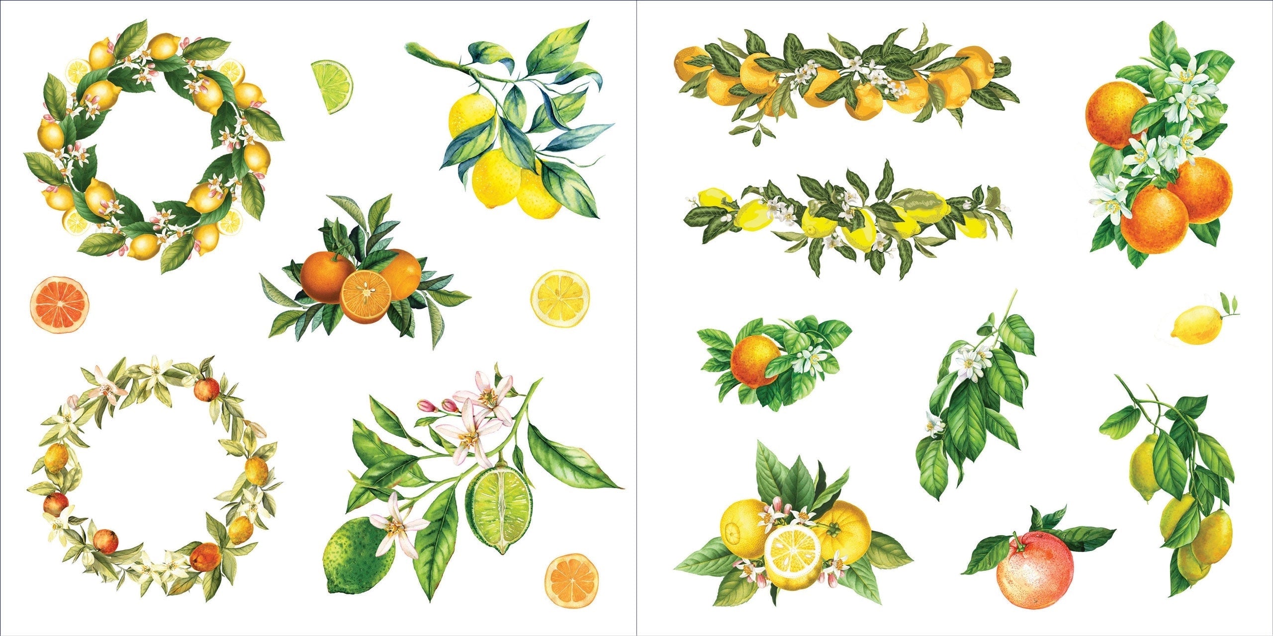 Floral Botanical Sticker Book