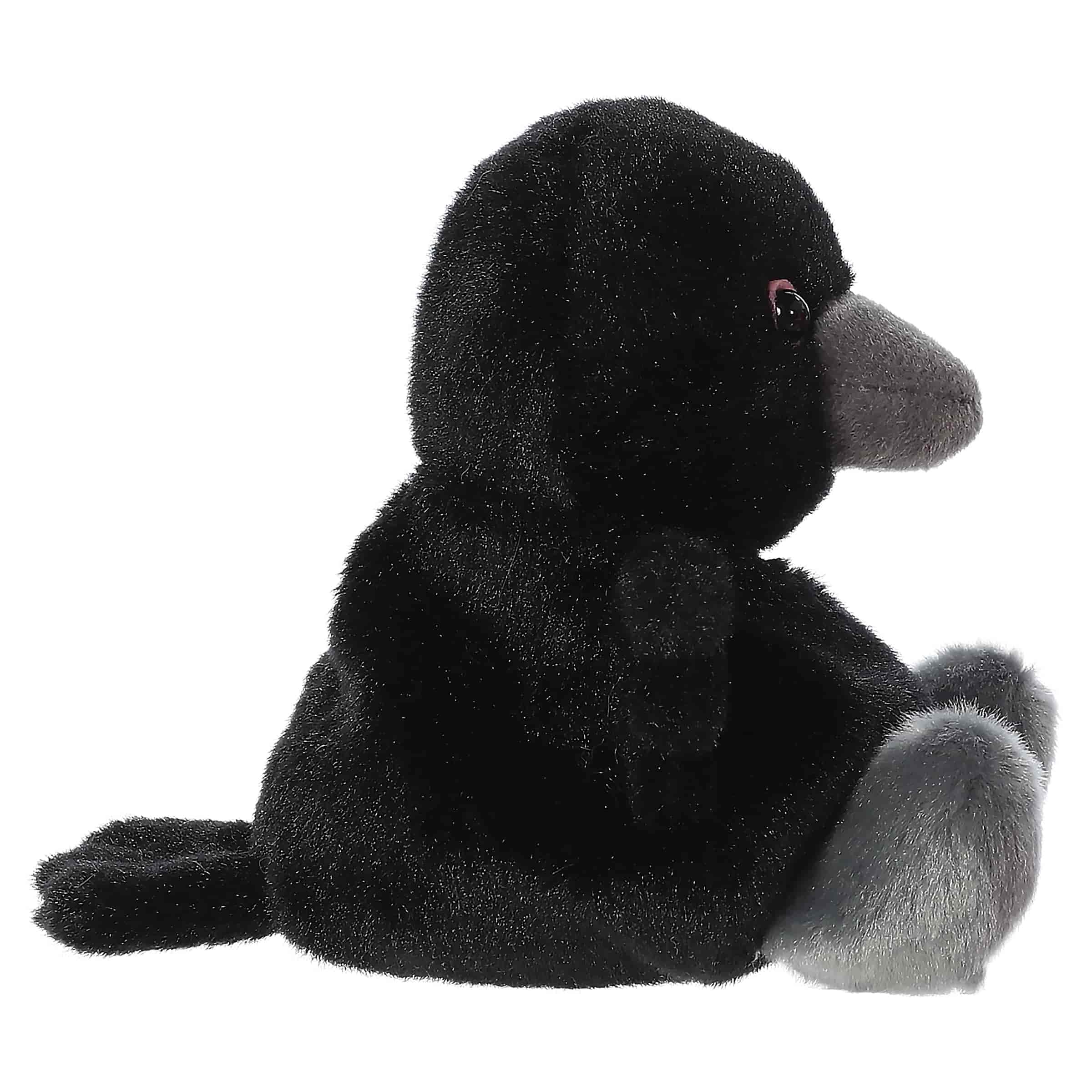 Palm Pals 5" Poe Raven