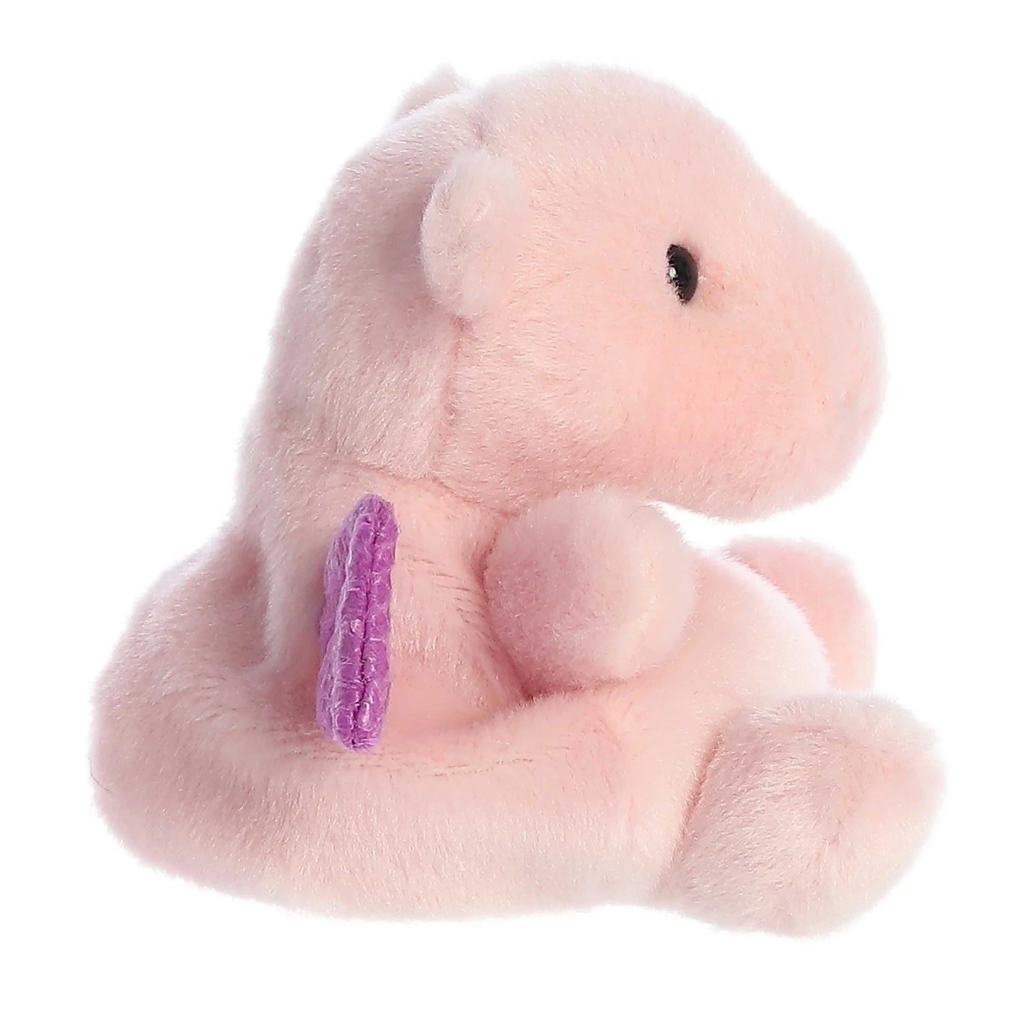 Aria Pink Dragon Palm Pals
