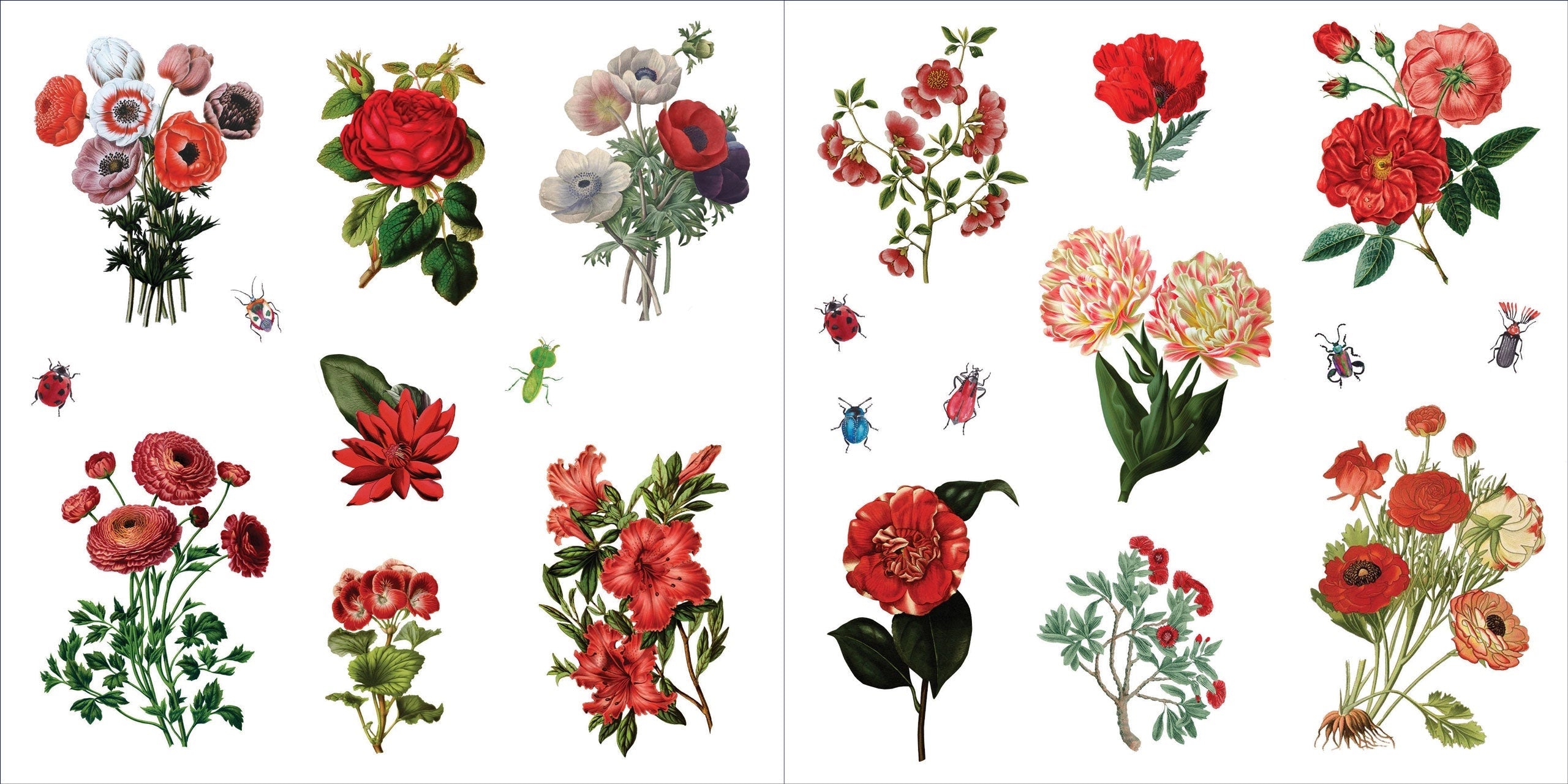 Floral Botanical Sticker Book