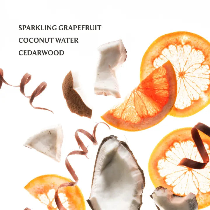 Touchland Hand Sanitizer Spray Beach Coco