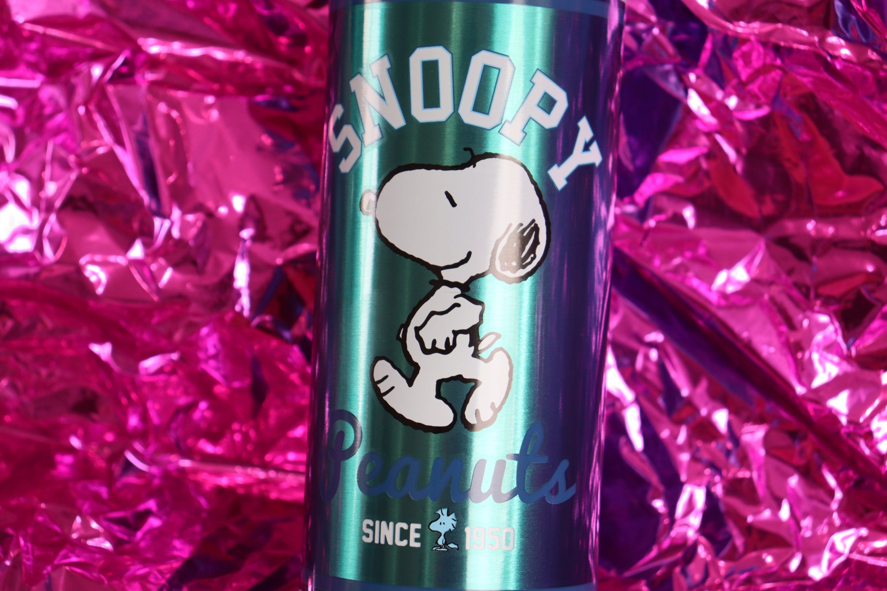 Peanuts Snoopy Collegiate 27oz Stainless Steel Waterbottle