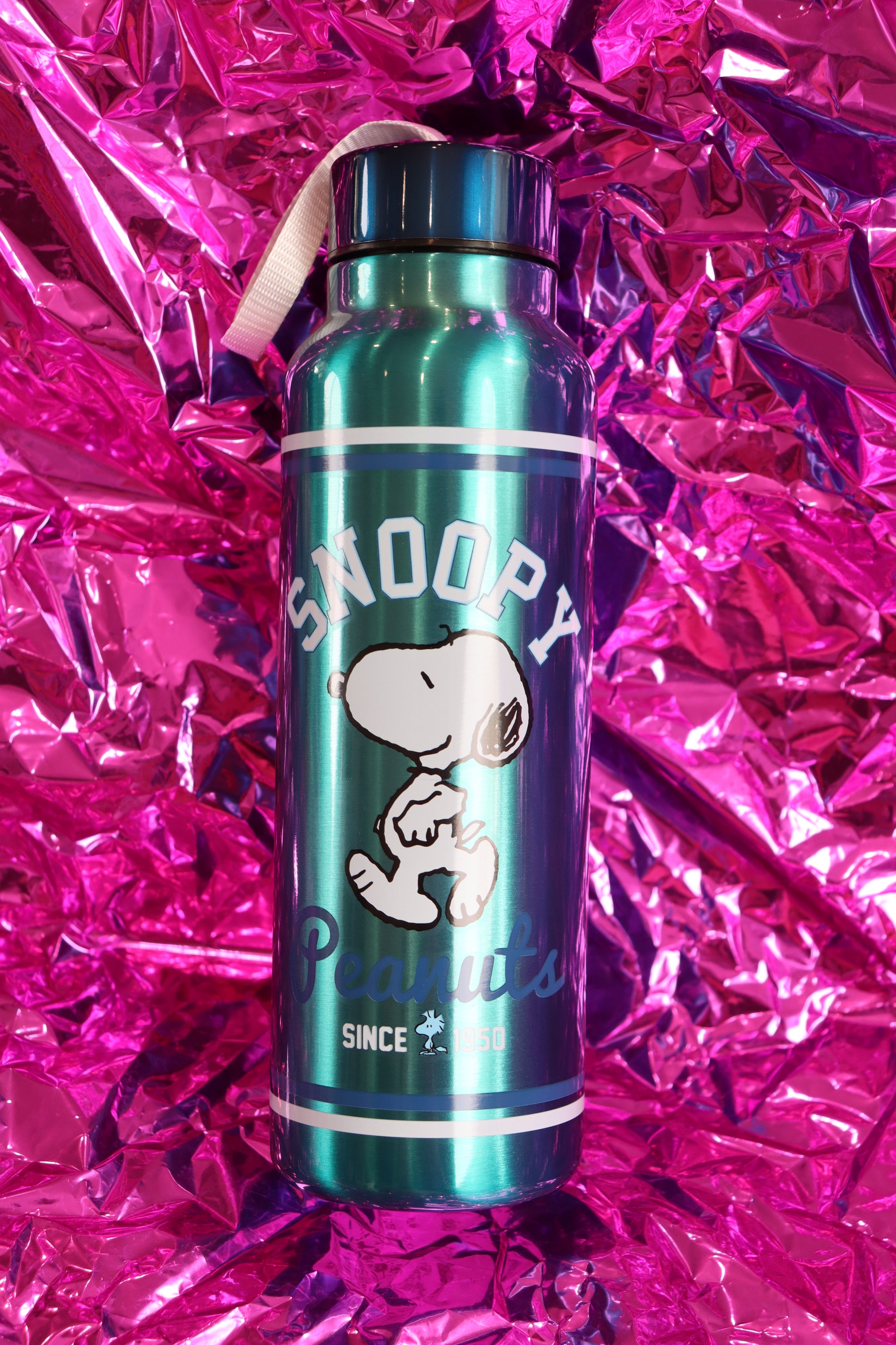 Peanuts Snoopy Collegiate 27oz Stainless Steel Waterbottle