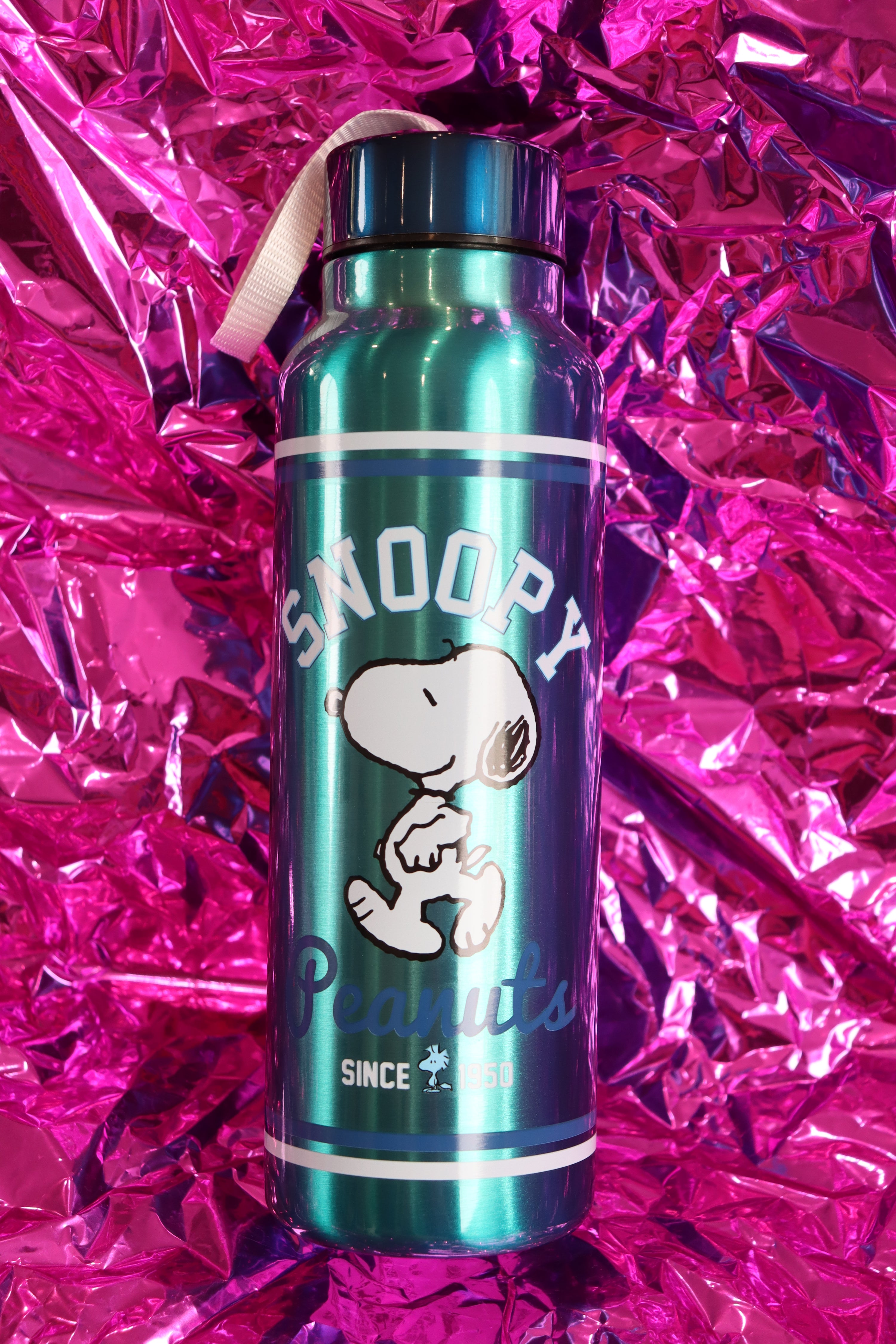 Peanuts Snoopy Collegiate 27oz Stainless Steel Waterbottle