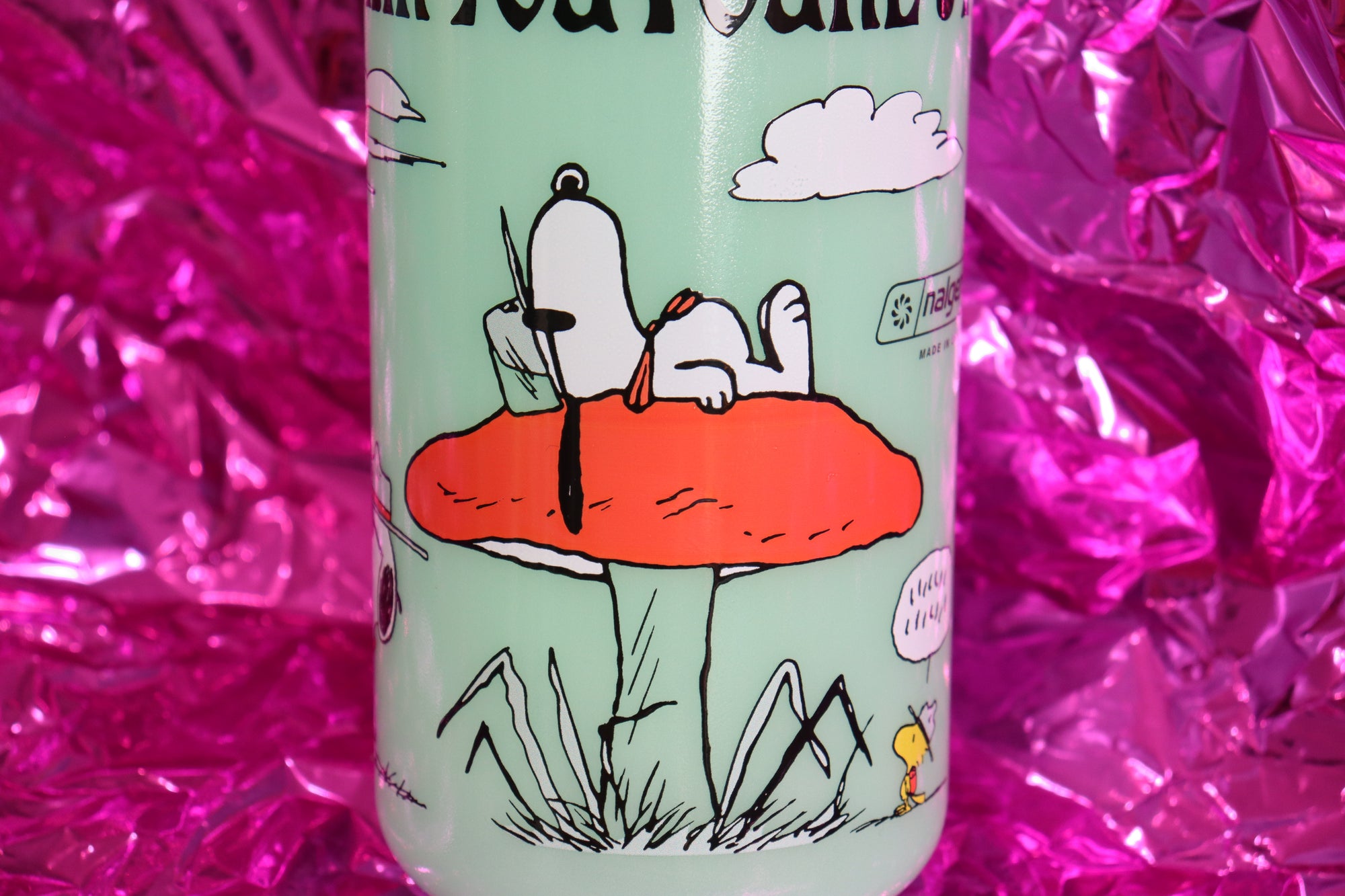 Snoopy x Parks Project Nalgene Bottle