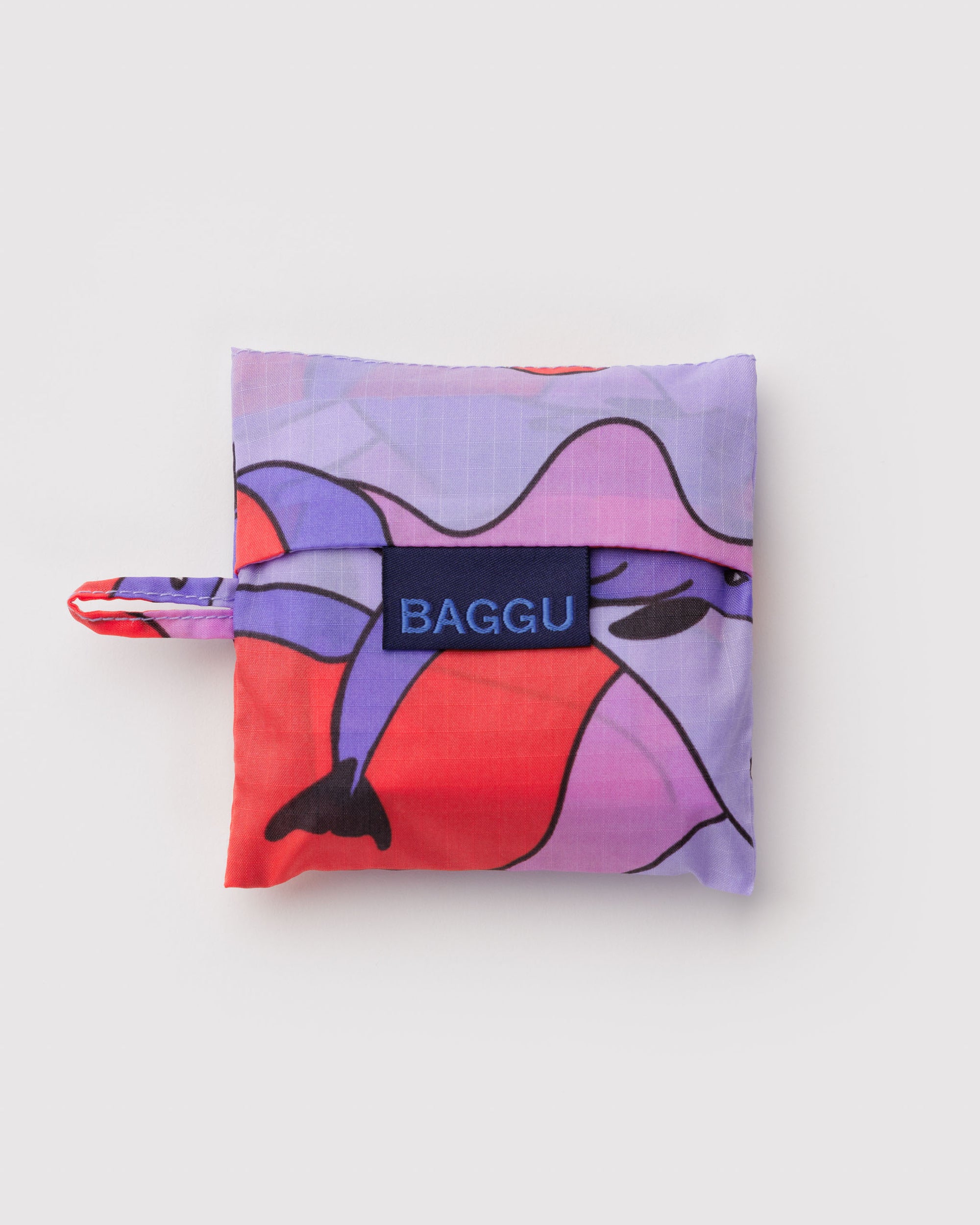 Baby Baggu -Dolphins