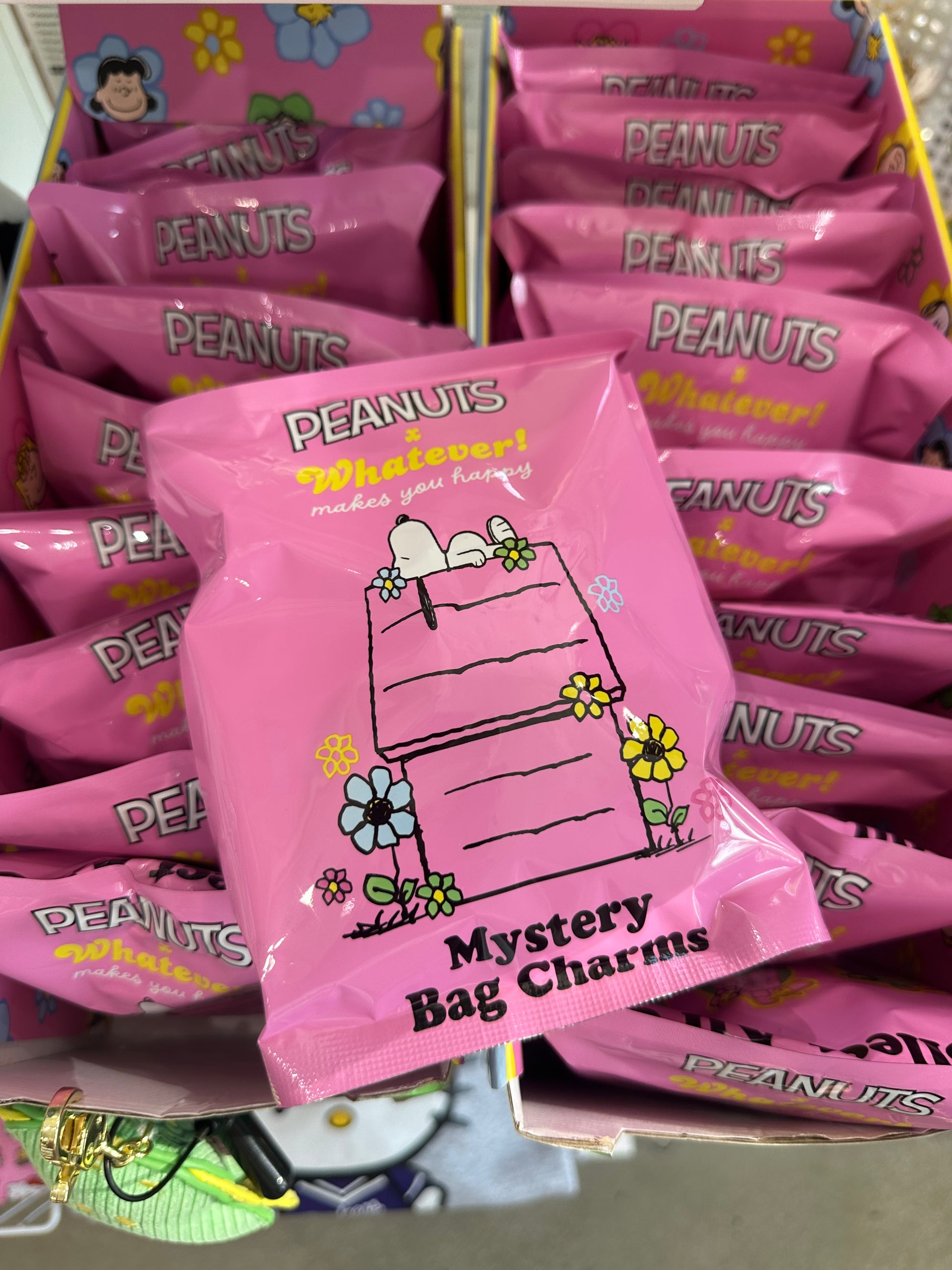 Peanuts Snoopy Corduroy Mystery Bag Charm