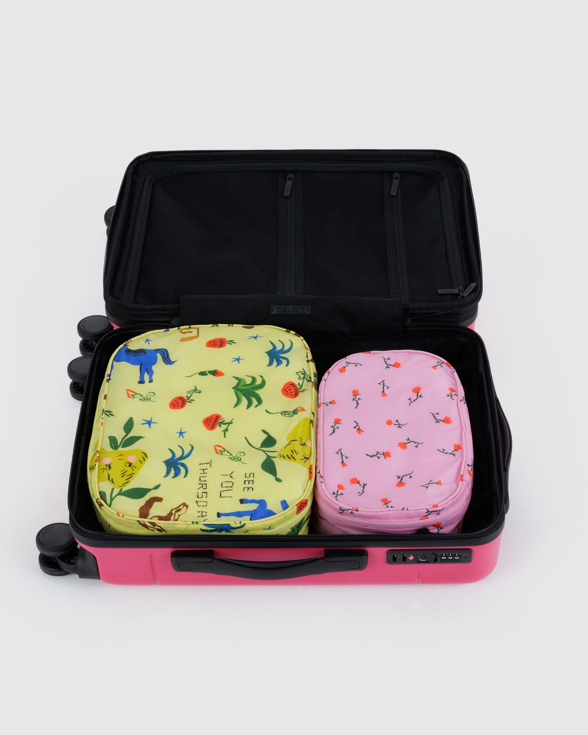 BAGGU Packing Cube Set - Painted Prairie
