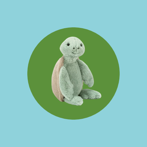 Small Bashful Turtle Jellycat