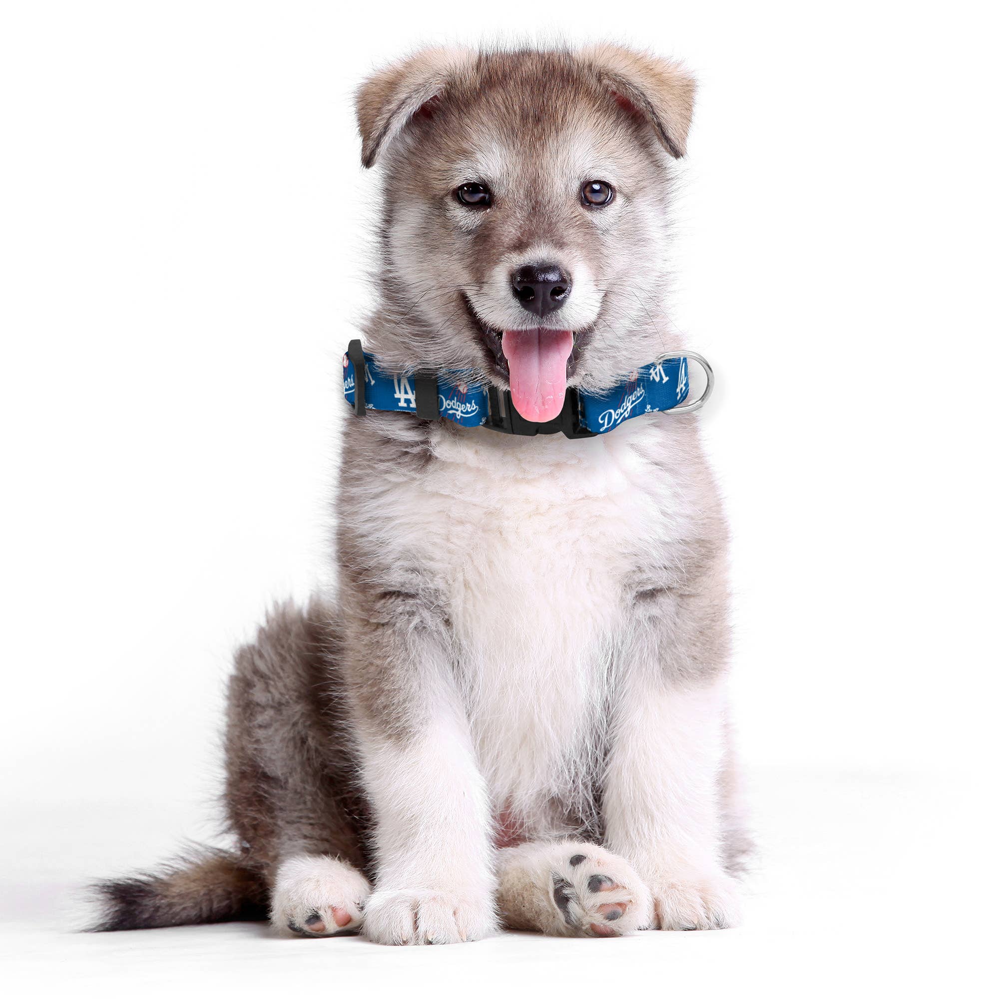MLB Los Angeles Dodgers Team Pet Collar