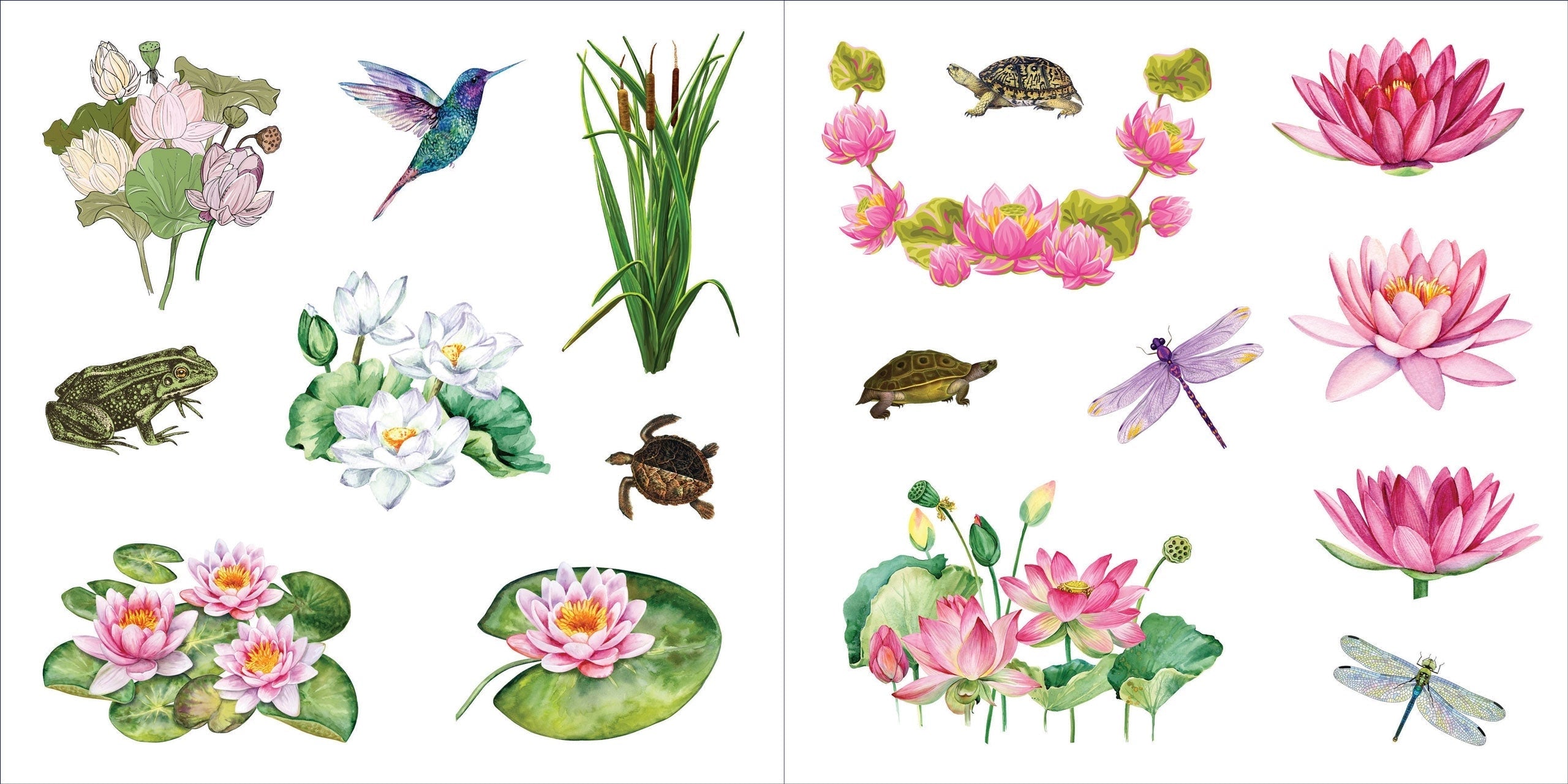 Floral Botanical Sticker Book