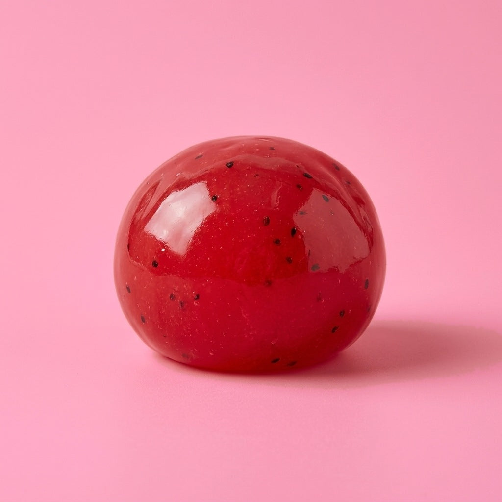 Watermelon Slushy Squishy